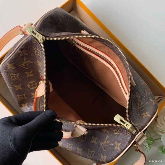 SPEEDY Vuitton Louis 30 BANDOULIERE 0801